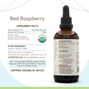 herbera-red-raspberry-b120-usda-organic--3.jpg