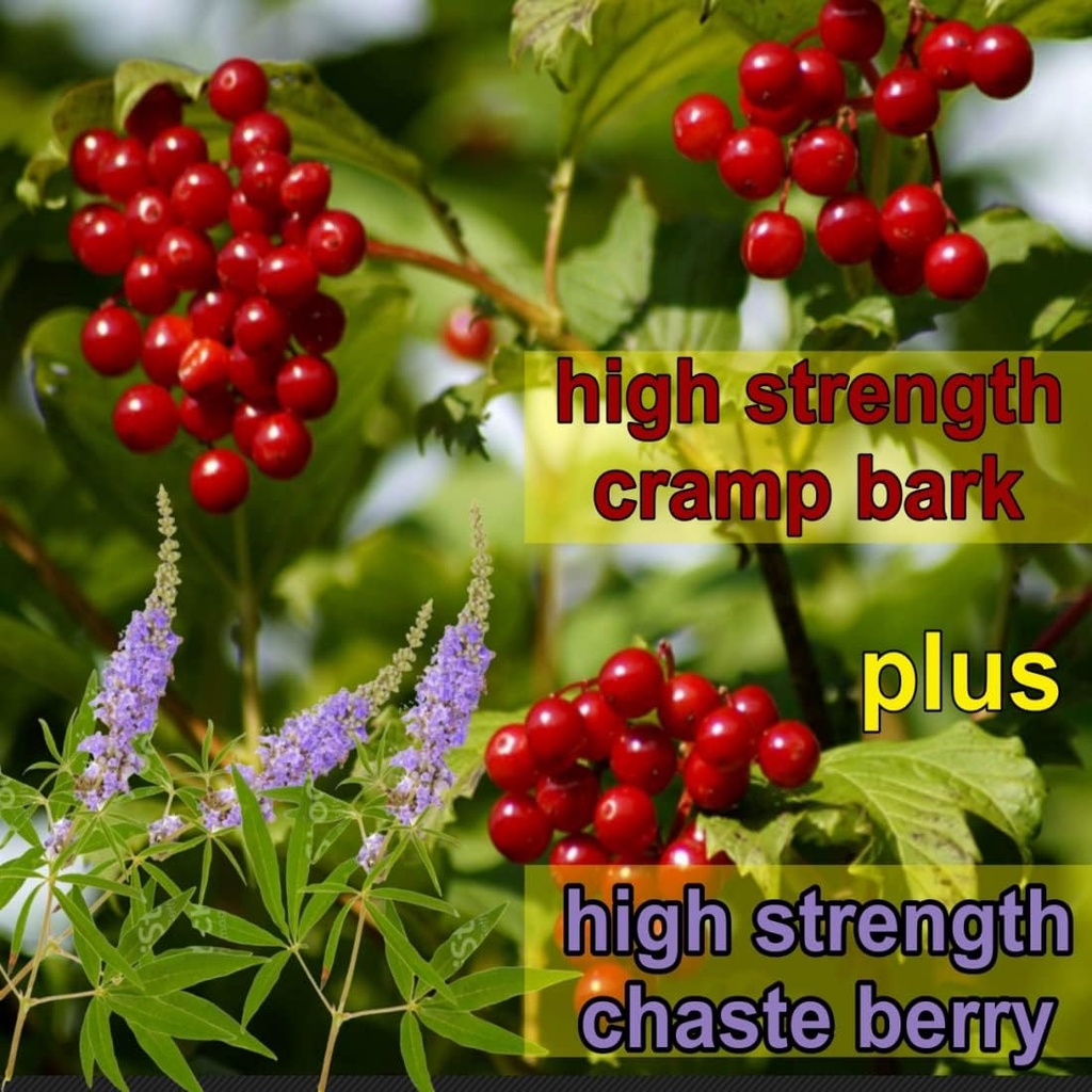 menstrual-cramp-period-gummies-true-root-4.jpg