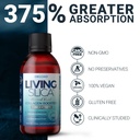 living-silica-orgono-silica-drops-travel-6.jpg