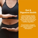 dr-kellyann-collagen-cooler-tropical-pin-5.jpg