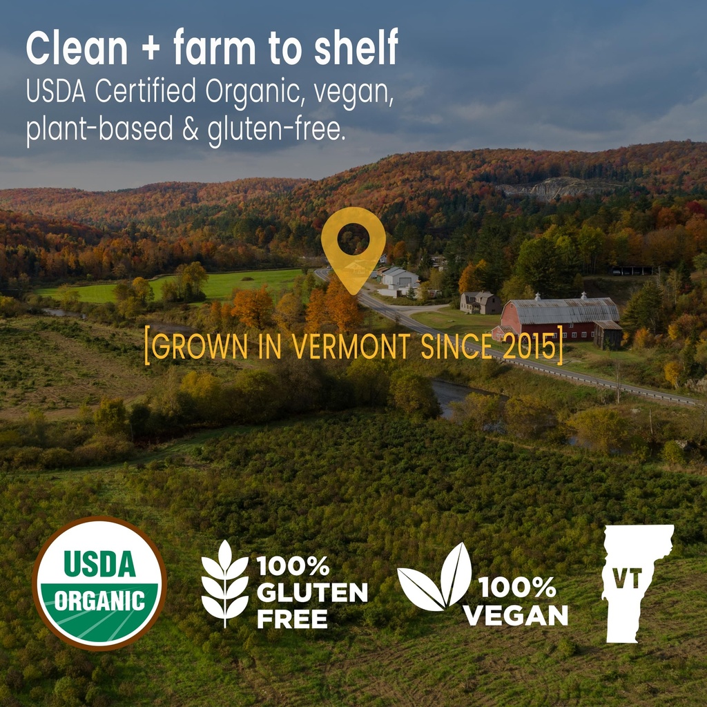 sunsoil-men-s-multivitamin-organic-gummi-3.jpg