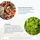 youtheory-mushroom-stress-complex-60-veg-5.jpg