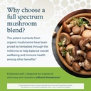 youtheory-mushroom-stress-complex-60-veg-4.jpg