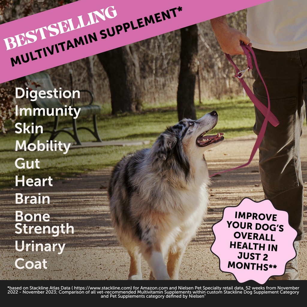 pet-honesty-hemp-calming-multivitamin-vi-3.jpg