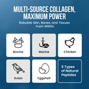 wound-collagen-complex-supplement-for-wo-6.jpg