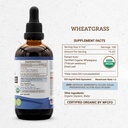 secrets-of-the-tribe-wheatgrass-alcohol--4.jpg