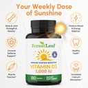 forestleaf-vitamin-d3-5000-iu-vit-d---vi-2.jpg