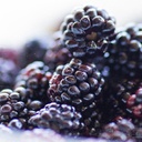 pure-original-ingredients-blackberry-fru-3.jpg