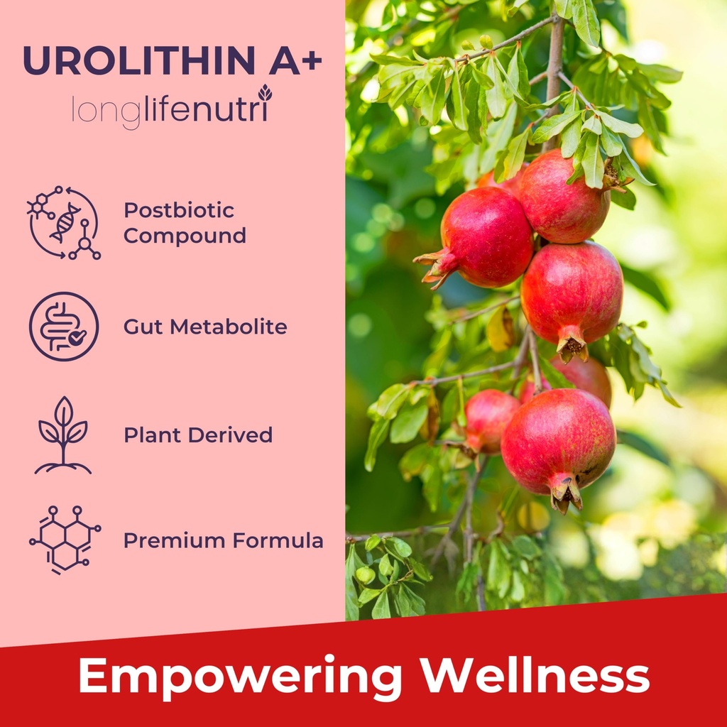 urolithin-a-1200mg-120-vegetarian-capsul-4.jpg