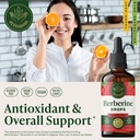 herbamama-berberine-liquid-drops-vegan-a-2.jpg