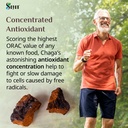 sayan-siberian-pure-raw-chaga-mushroom-c-5.jpg