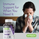 viteey-sambucus-elderberry-gummies-for-a-6.jpg