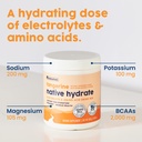nativepath-native-hydrate-zero-sugar-ele-6.jpg