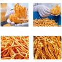 sifangda-cordyceps-flower-dried-cordycep-2.jpg