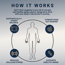 glp-1-gut-longevity-supports-gut-barrier-3.jpg