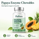 papaya-enzyme-chewables-papaya-fruit-ble-5.jpg