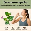 punarnava-capsules-boerhaavia-diffusa-50-2.jpg