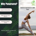 punarnava-capsules-boerhaavia-diffusa-50-3.jpg