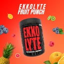 ekkovision-ekkolyte-60-servings-fruit-pu-3.jpg