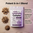 lymphatic-complex-lymphatic-complex-6-in-4.jpg