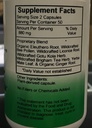 dr-christopher-s-bee-power-energy-100-ca-3.jpg