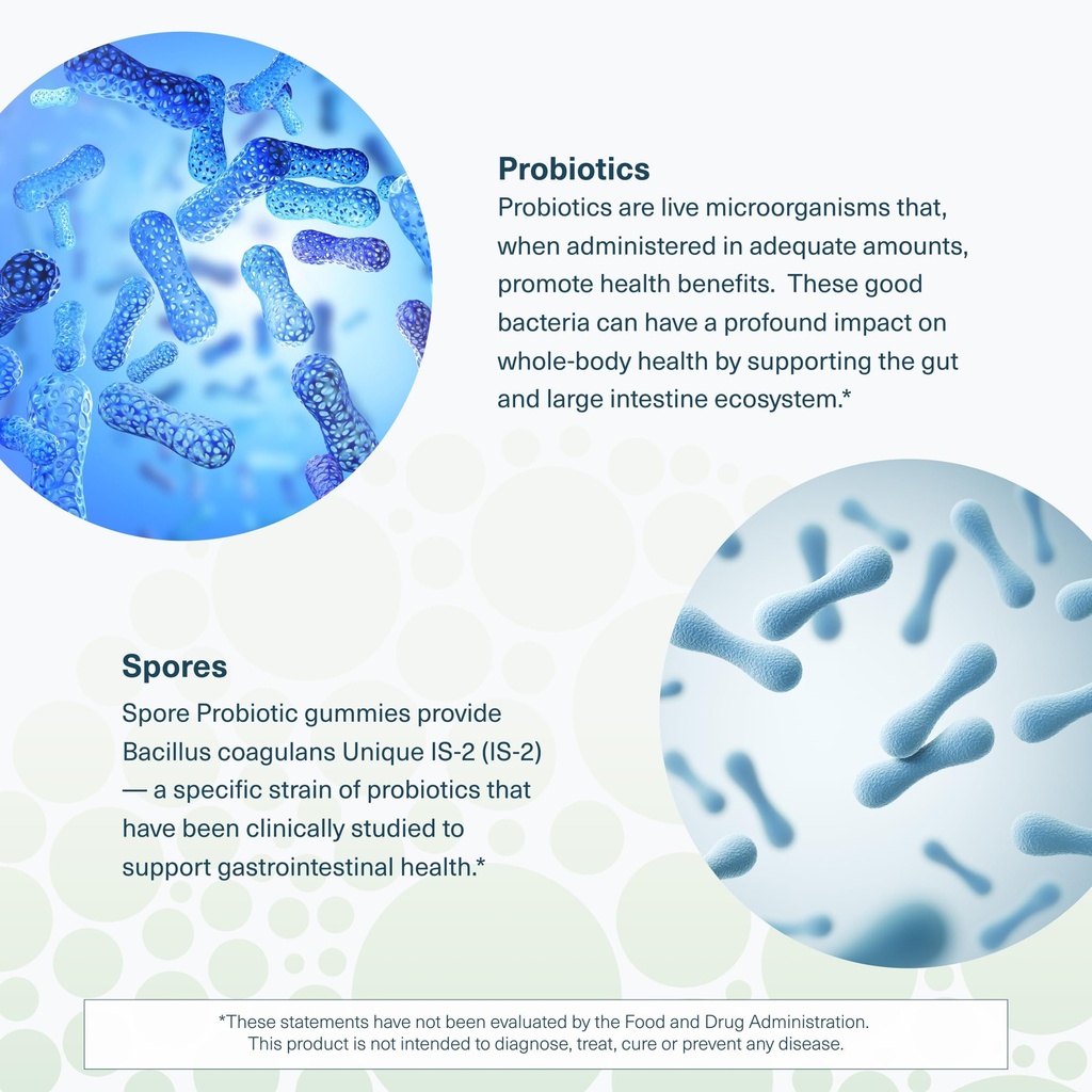 youtheory-spore-probiotic-zero-sugar-gum-5.jpg