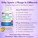 spore-probiotic-for-women-men-bacillus-s-5.jpg