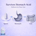 spore-probiotic-for-women-men-bacillus-s-6.jpg