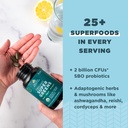 ancient-nutrition-organic-supergreens-ta-4.jpg