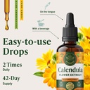 herbamama-calendula-tincture-vegan-detox-6.jpg