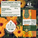 herbamama-calendula-tincture-vegan-detox-3.jpg