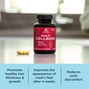 ancient-nutrition-multi-collagen-peptide-6.jpg