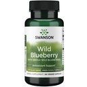 swanson-grn-wild-blueberry-250mg-90-veg--2.jpg