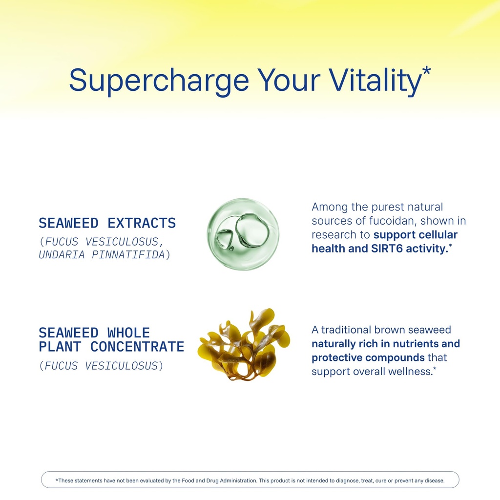 prohealth-sirtuin-6-activator-60-capsule-5.jpg
