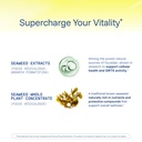 prohealth-sirtuin-6-activator-60-capsule-5.jpg