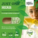 wild-organic-artichoke-extract-capsules--5.jpg