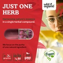 wild-organic-beet-root-capsules-energy-s-5.jpg