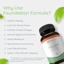 foundation-formula-tick-immune-support-s-6.jpg