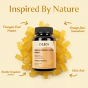 premium-balance-gummies-pineapple-flavor-4.jpg