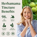herbamama-black-walnut-tincture-vegan-di-5.jpg