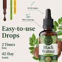 herbamama-black-walnut-tincture-vegan-di-6.jpg
