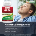 best-naturals-gaba-750-mg-l-theanine-200-5.jpg