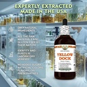 yellow-dock-rumex-crispus-dry-root-glyce-4.jpg
