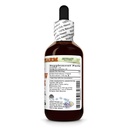 yellow-dock-rumex-crispus-dry-root-glyce-2.jpg