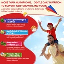 lions-mane-mushroom-focus-gummies-for-ki-5.jpg
