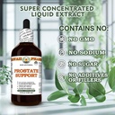 prostate-support-glycerite-all-natural-v-6.jpg