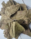 kopabana-green-djeka-leaves-ogymama-alch-4.jpg