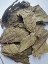 kopabana-green-djeka-leaves-ogymama-alch-6.jpg