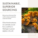 anima-mundi-apothecary-chaga-mushroom-po-2.jpg