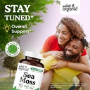wild-organic-sea-moss-180-capsules-ashwa-2.jpg